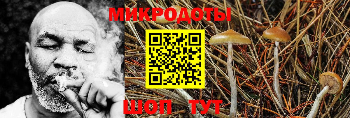Псилоцибиновые грибы Cubensis  Вход с VPN  Туапсе 