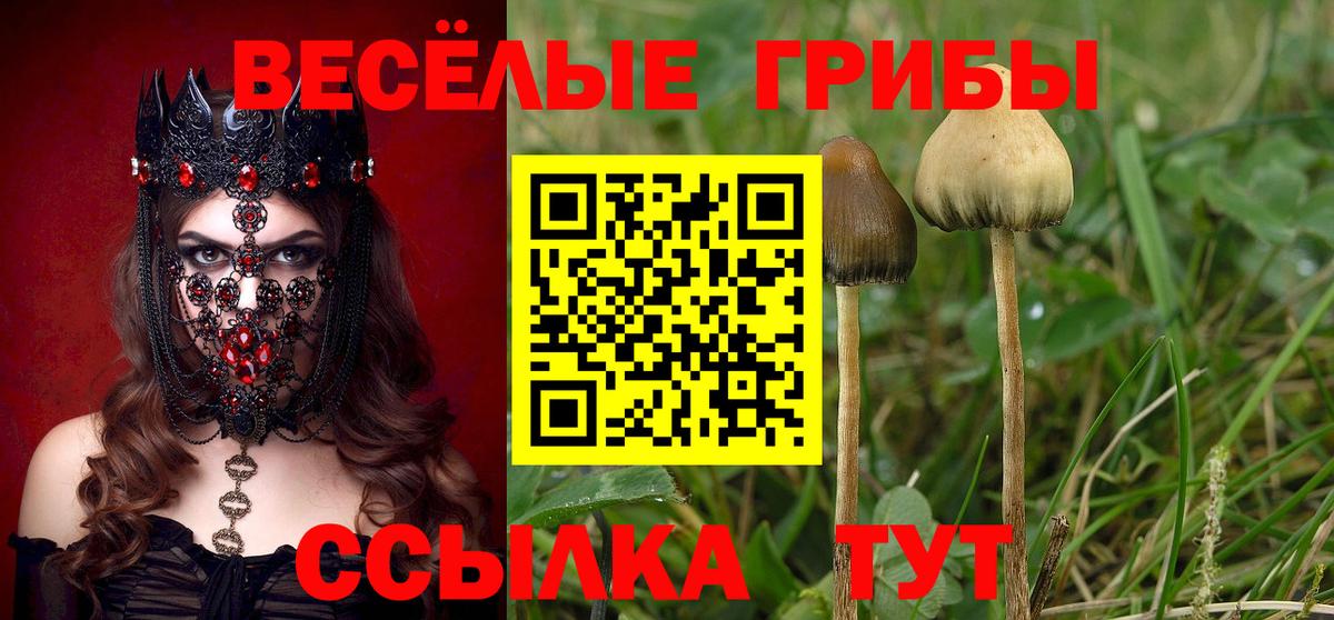 ТГК Туапсе
